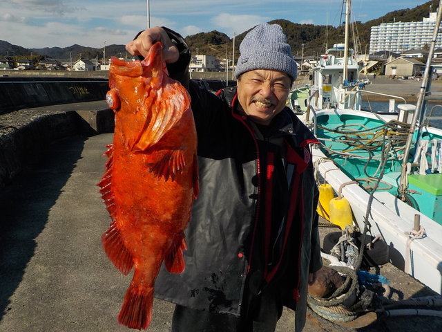 カンコ(ウッカリカサゴ)