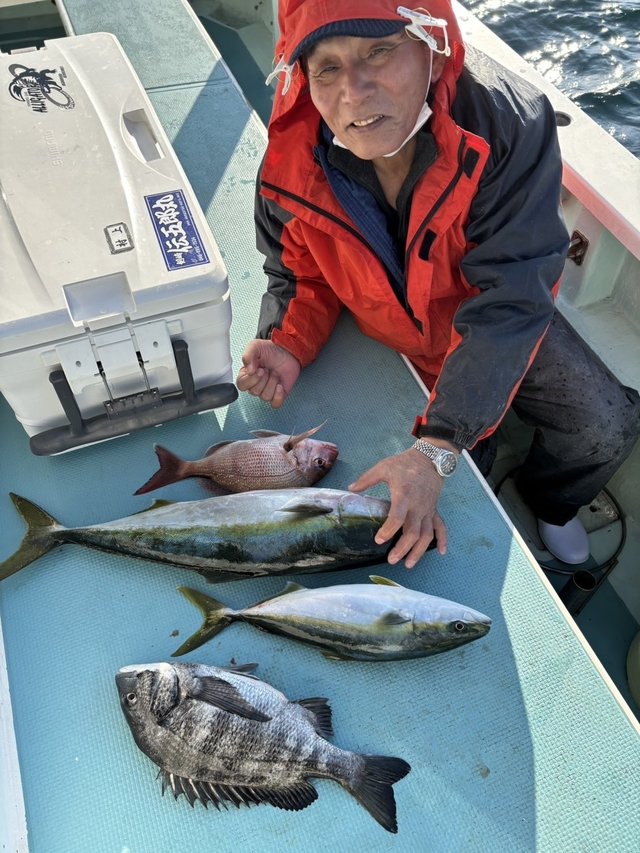 マダイ・ワラサ(ブリ)