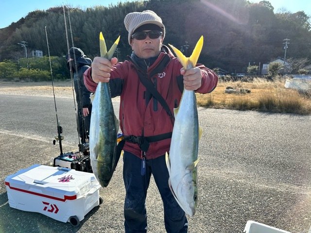 ブリ・ワラサ(ブリ)