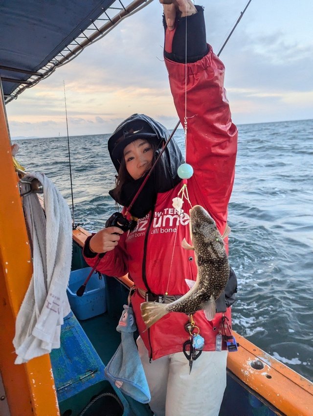 フグ(ショウサイフグ)