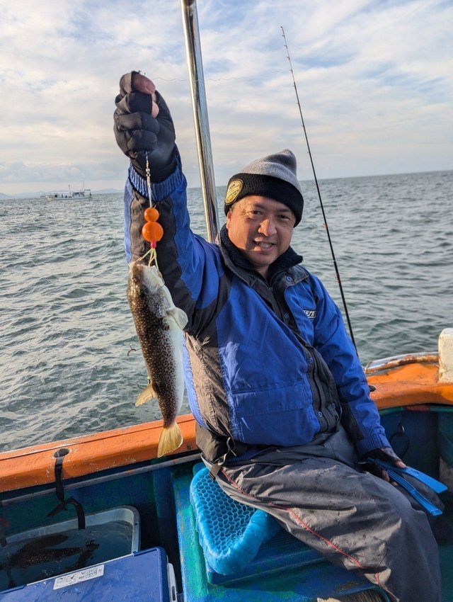 フグ(ショウサイフグ)