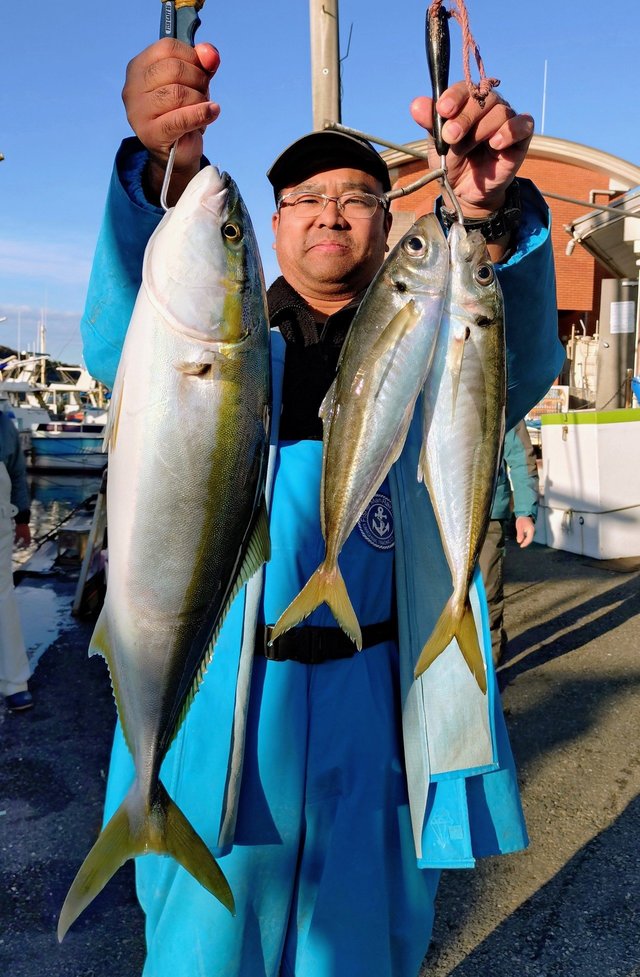 アジ(マアジ)・ワラサ(ブリ)