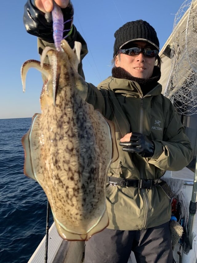 モンゴウイカ(カミナリイカ)