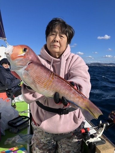 アマダイ(アカアマダイ)