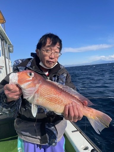 アマダイ(アカアマダイ)