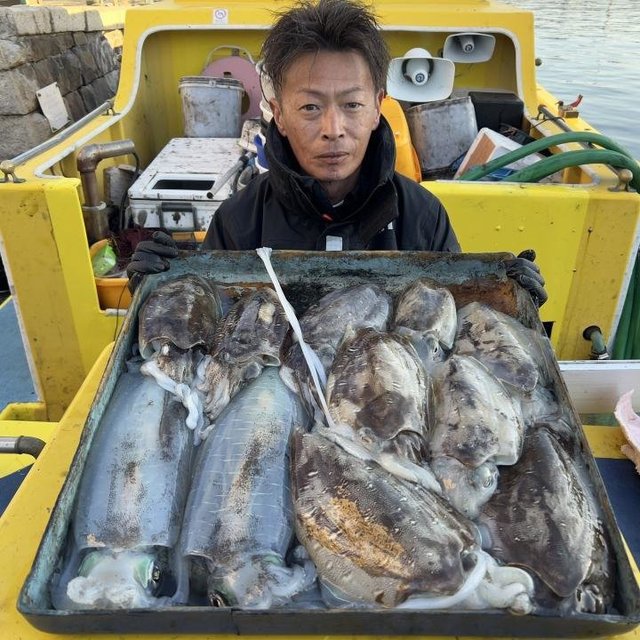 スミイカ(コウイカ)・カミナリイカ