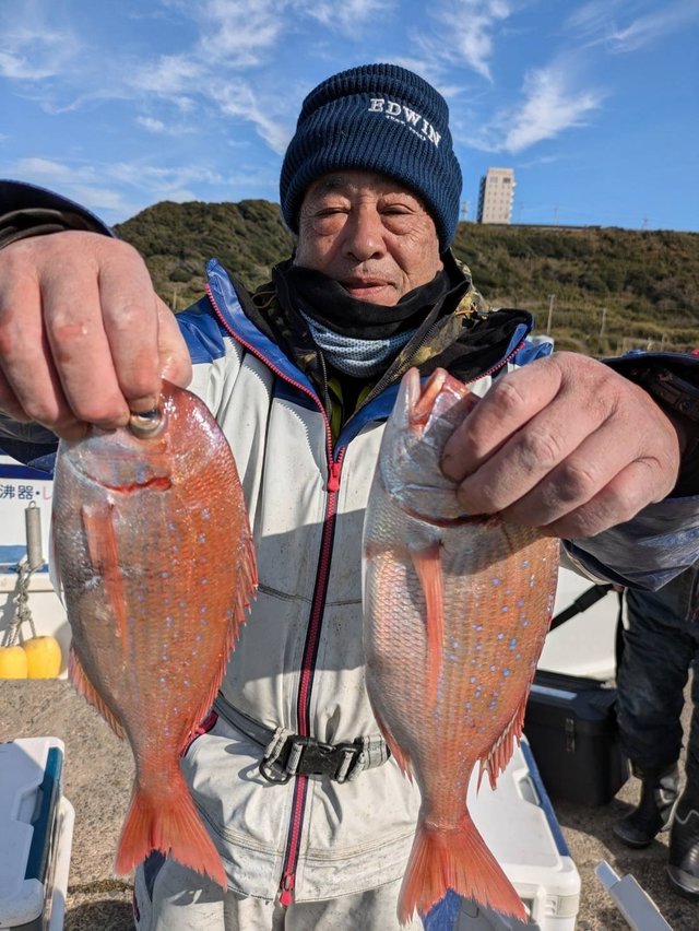 ハナダイ(チダイ)