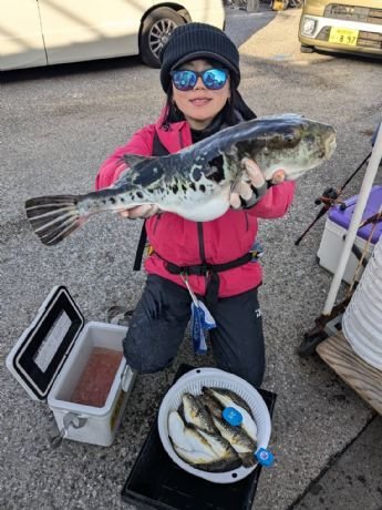 トラフグ・アカメフグ・コモンフグ・ショウサイフグ