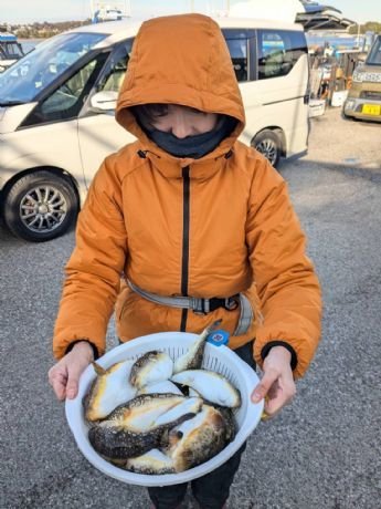 アカメフグ・コモンフグ・ショウサイフグ