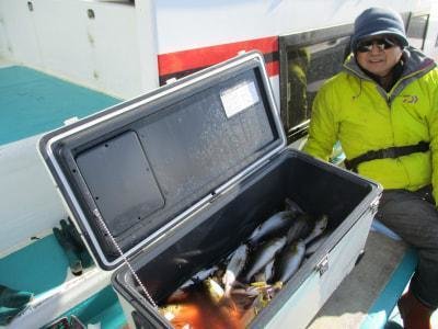 イサギ(イサキ)