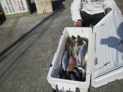 イサギ(イサキ)