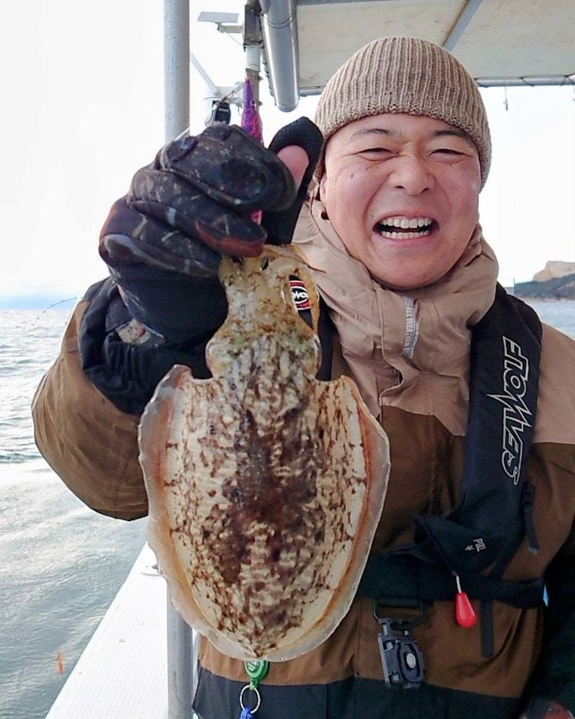 モンゴウイカ(カミナリイカ)