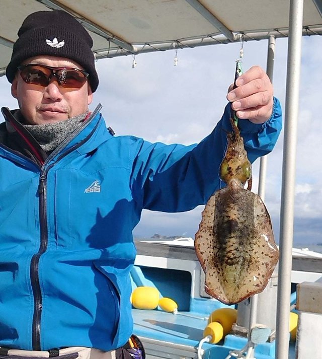 モンゴウイカ(カミナリイカ)