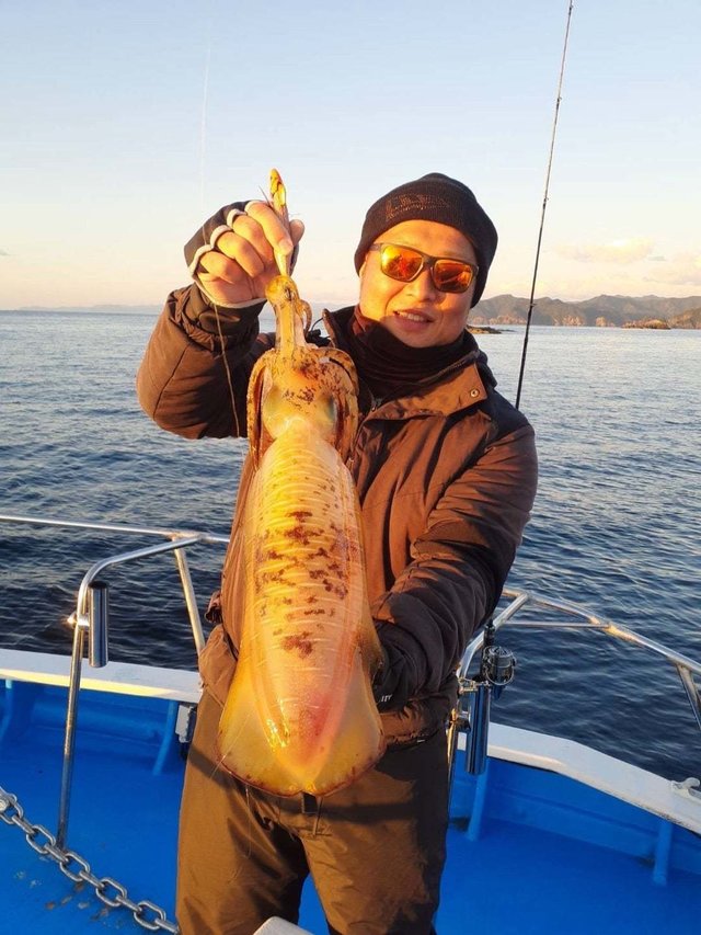 イカ(アオリイカ)