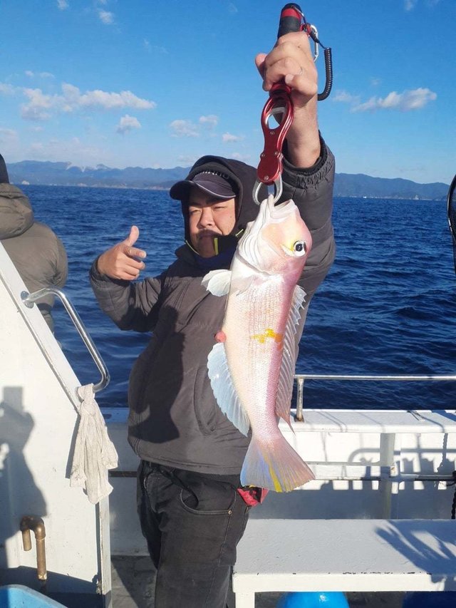 アマダイ(アカアマダイ)