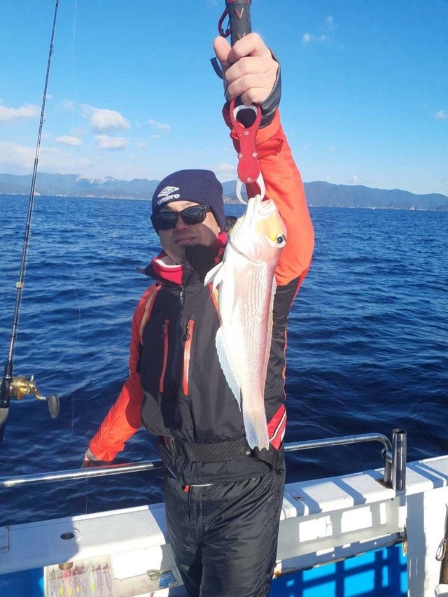 アマダイ(アカアマダイ)