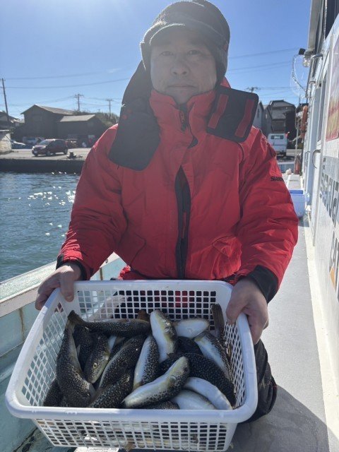 フグ(ショウサイフグ)