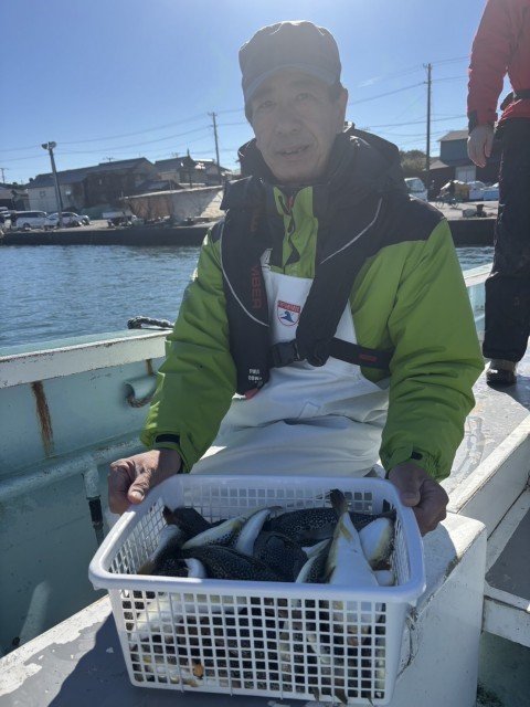 フグ(ショウサイフグ)