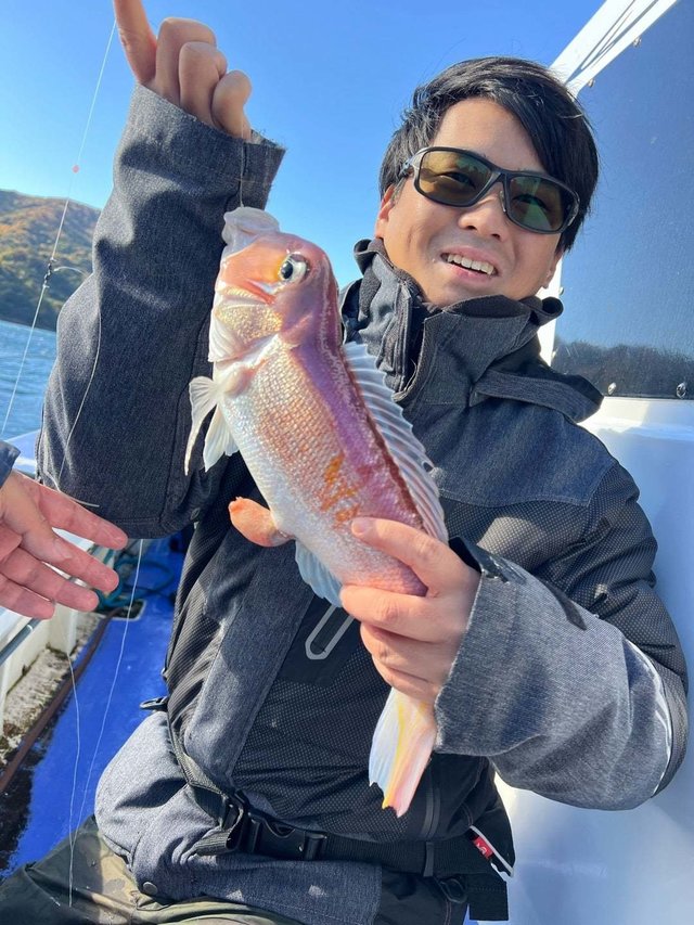 アマダイ(アカアマダイ)