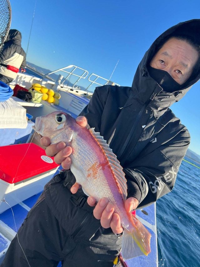 アマダイ(アカアマダイ)