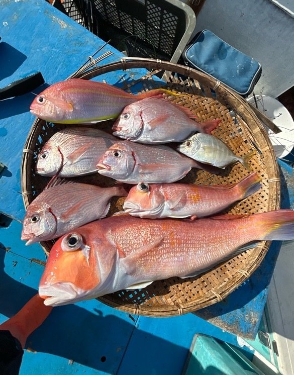 ハナダイ(チダイ)・カイワリ・アマダイ(アカアマダイ)・イトヨリ(イトヨリダイ)