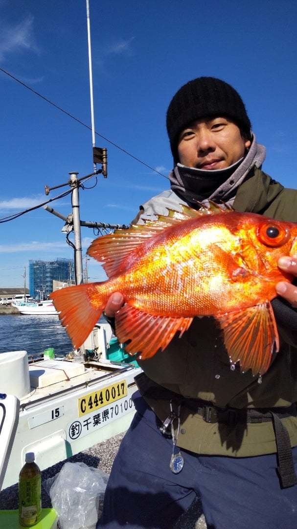 キントキ(チカメキントキ)