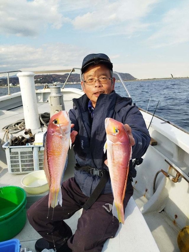 アマダイ(アカアマダイ)