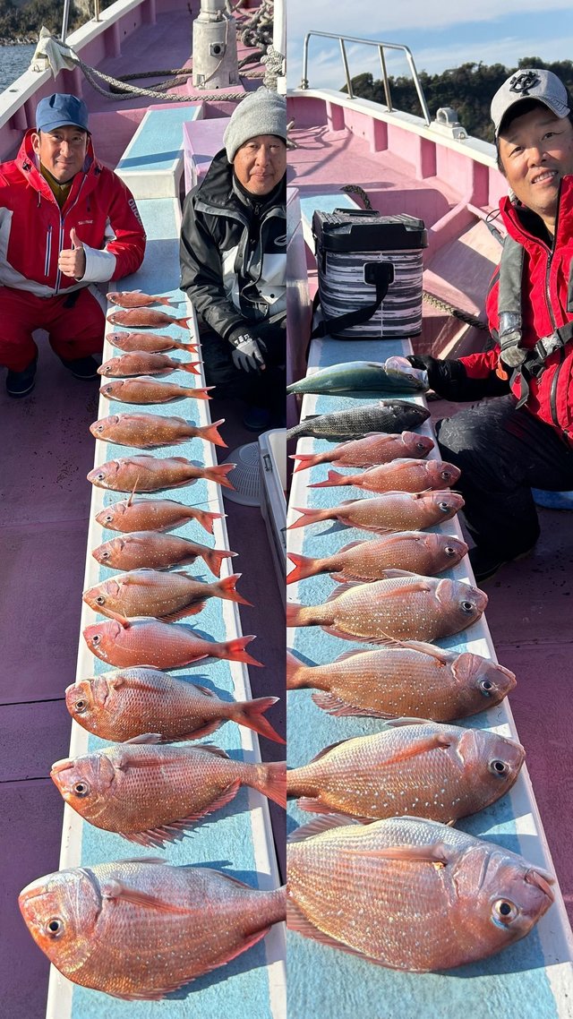 マダイ・クロダイ・イナダ(ブリ)