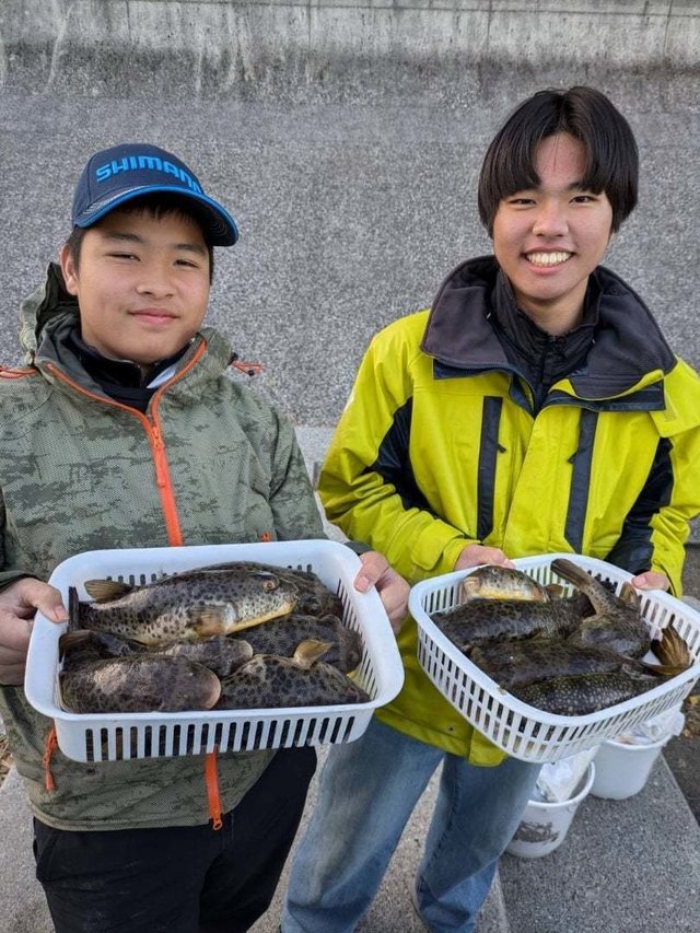 アカメフグ・ショウサイフグ