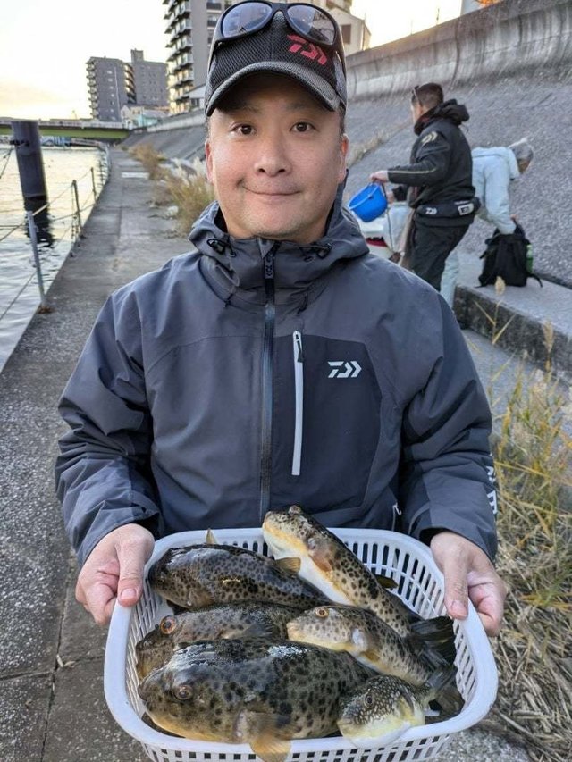 アカメフグ・ショウサイフグ