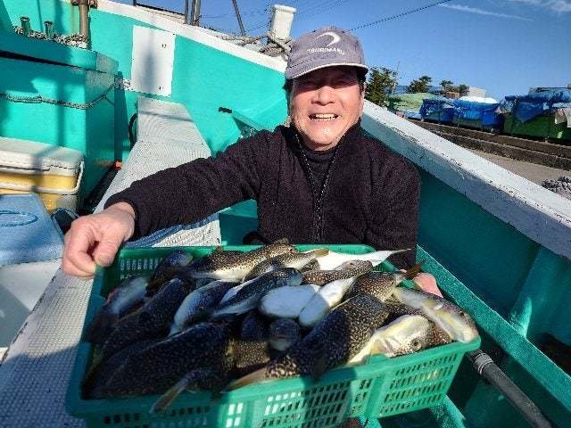 ショウサイフグ