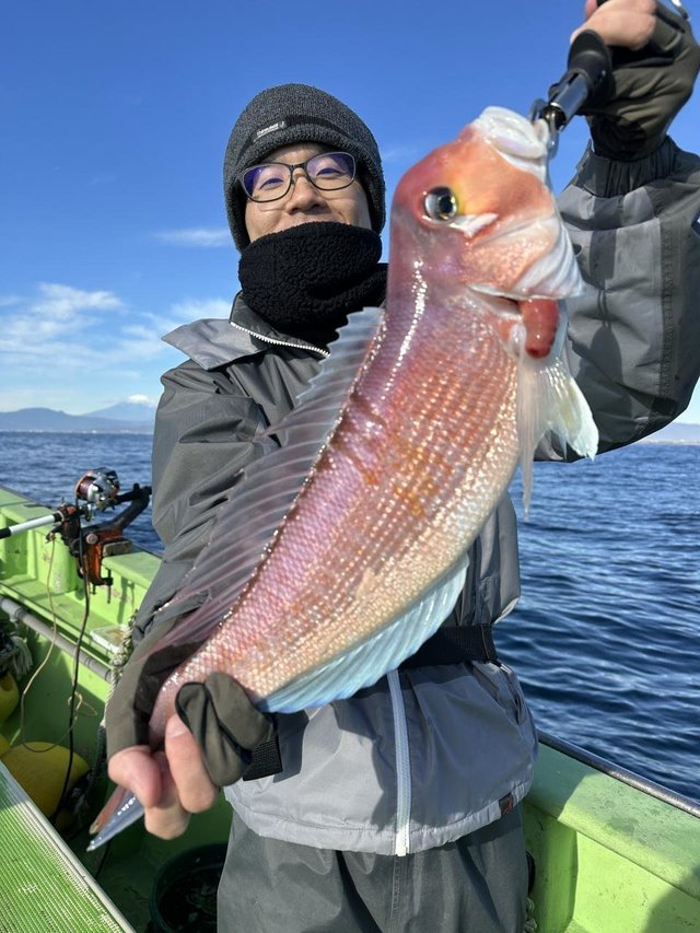 アマダイ(アカアマダイ)