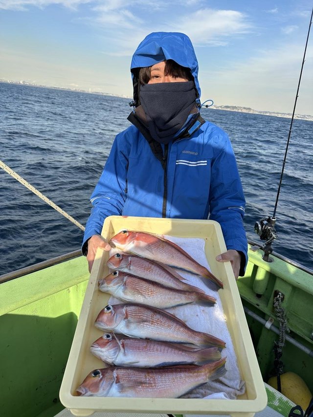 アマダイ(アカアマダイ)