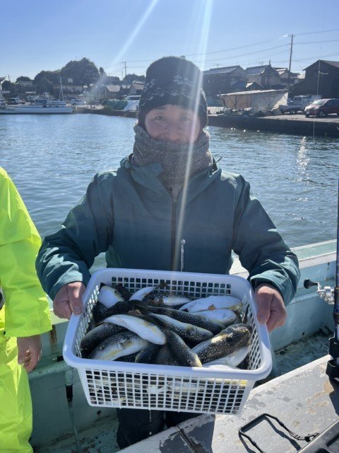 フグ(ショウサイフグ)