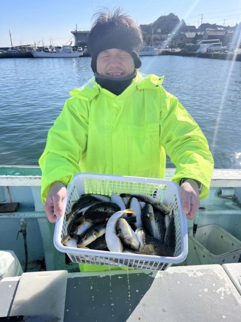 フグ(ショウサイフグ)