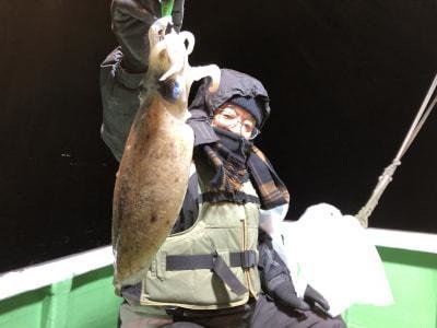 モンゴウイカ(カミナリイカ)