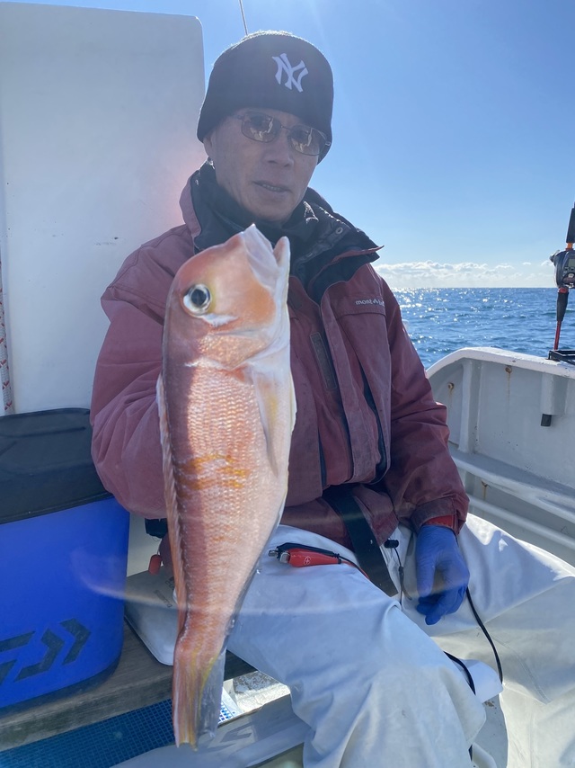 アマダイ(アカアマダイ)