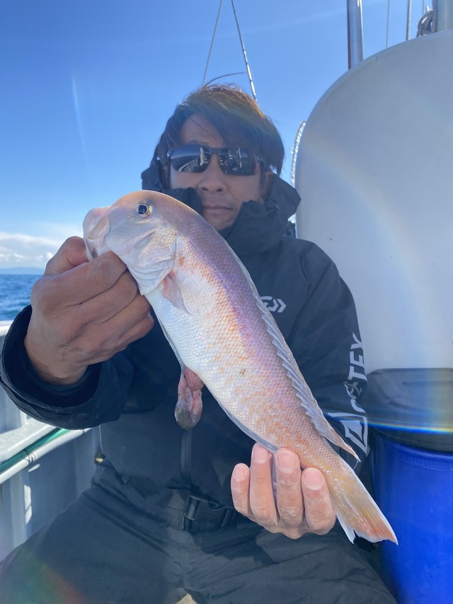 アマダイ(アカアマダイ)