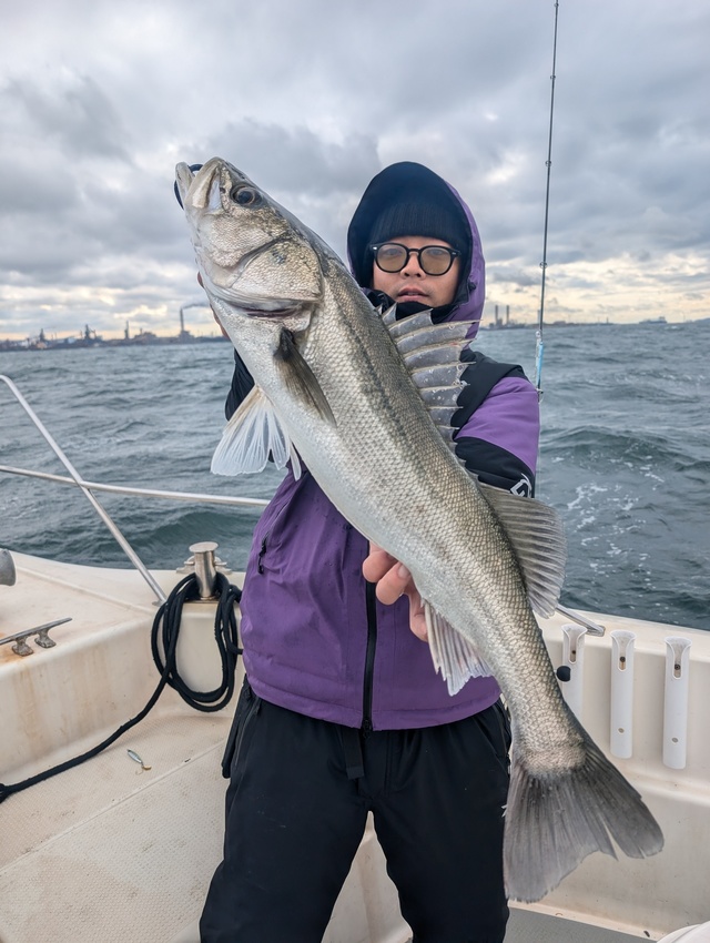 シーバス(スズキ)