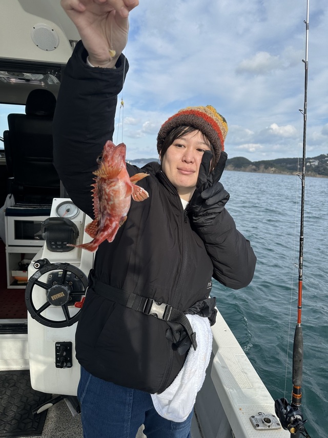 ガシラ(カサゴ)