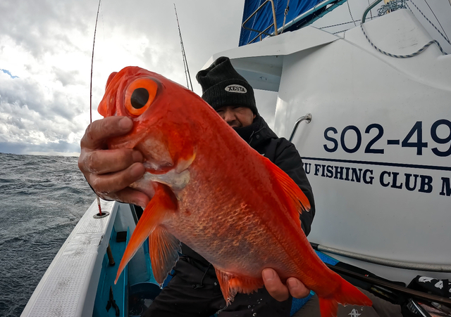 キンメ(キンメダイ)