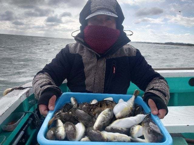 ヒガンフグ・ショウサイフグ