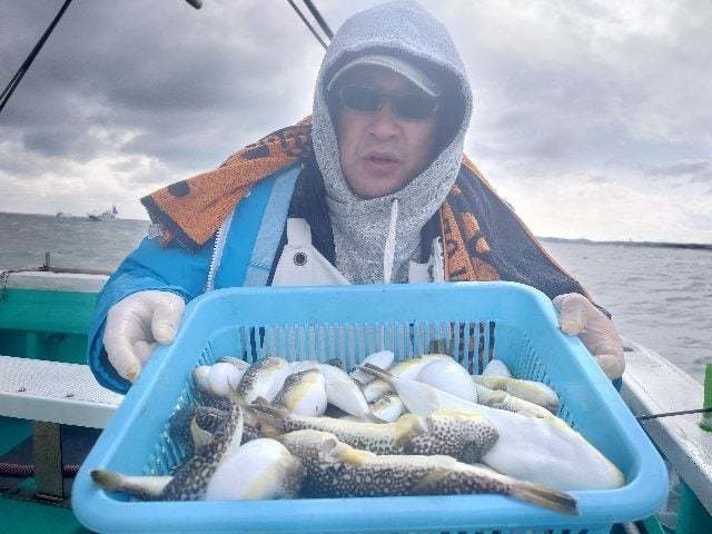 ショウサイフグ