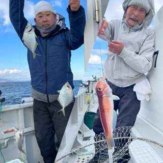 マダイ・カイワリ