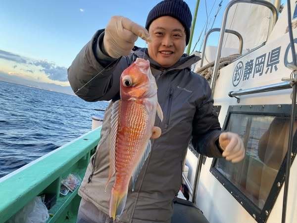 アマダイ(アカアマダイ)