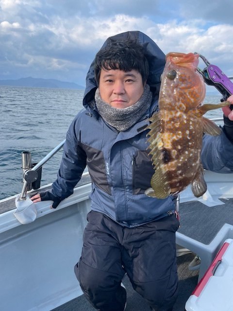 アコウ(キジハタ)