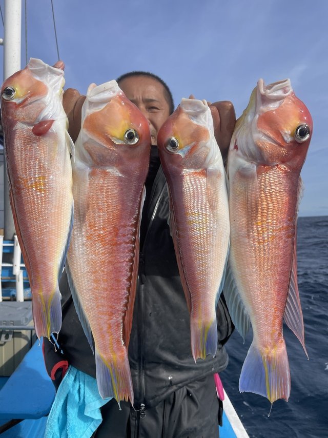 アマダイ(アカアマダイ)