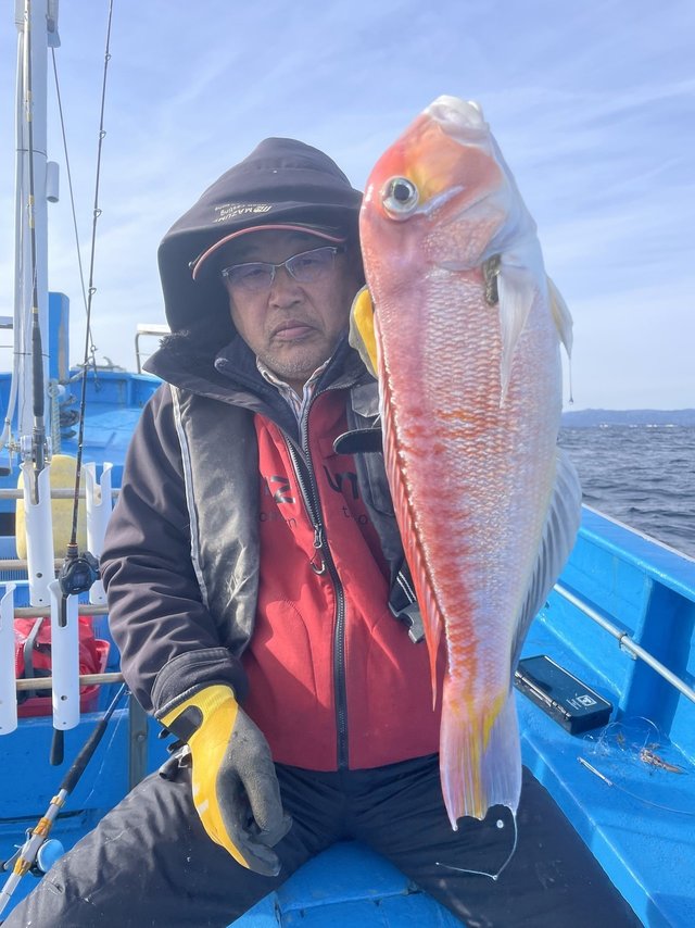 アマダイ(アカアマダイ)