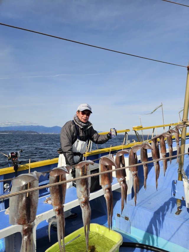 スルメ(スルメイカ)