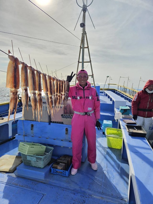 スルメ(スルメイカ)